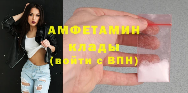 индика Арсеньев