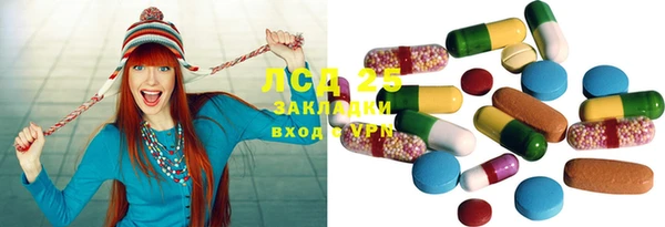 индика Арсеньев