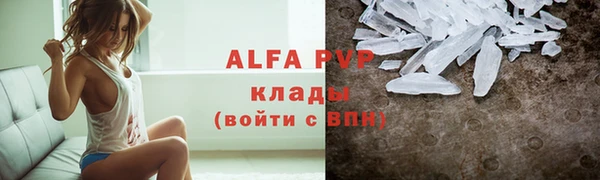 индика Арсеньев