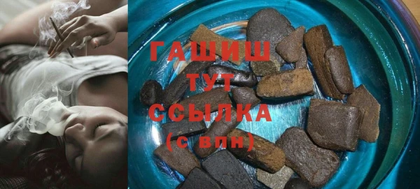 индика Арсеньев